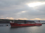 SX01173 Oil tanker Knutsen O.A.S. mored in Milford haven.jpg